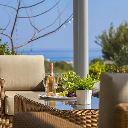 Zen Protaras