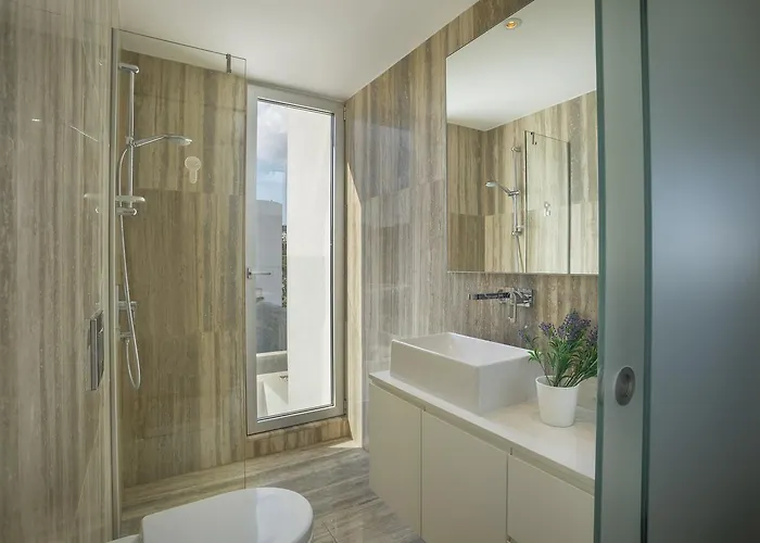 Zen * 普罗塔拉斯